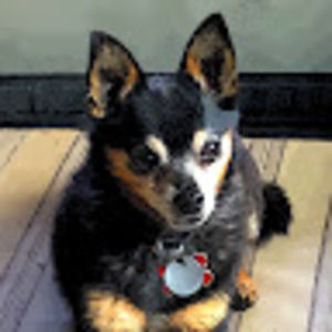 Meet your Posher, Elizabeth